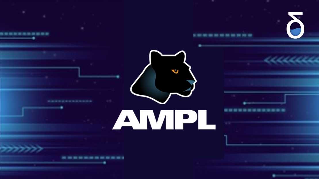 Você conhece a AMPL?